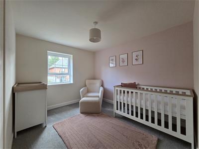 Picture 13